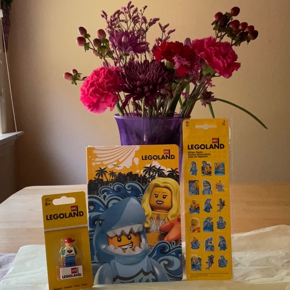 🦈 📚LEGOLAND  NOTEBOOK  BUNDLE 🦈📚 - Picture 14 of 16